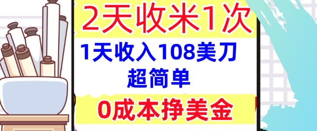0成本挣美金，超简单，1天收入108刀，2天收米一次，实战教程，首次公开-哦耶社群