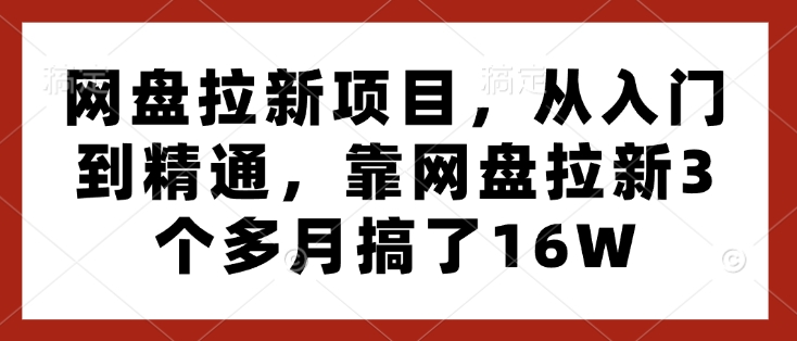 网盘拉新项目，从入门到精通，靠网盘拉新3个多月搞了16W-哦耶社群