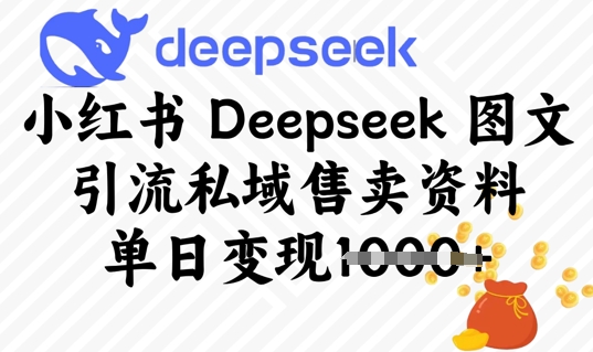 小红书Deepseek 图文引流私域售卖资料，单日变现多张-哦耶社群