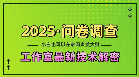 2025问卷调查最新工作室技术解密：一个人在家也可以闷声发大财，小白一天2张，可矩阵放大【揭秘】-哦耶社群