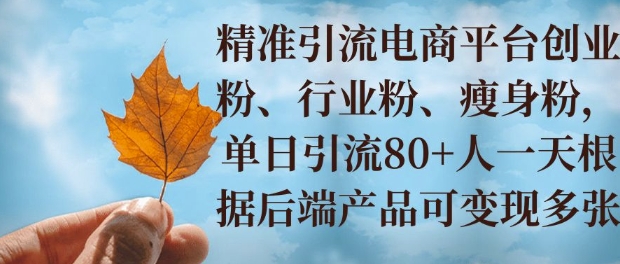小投资撬动大收益，精准引流创业粉、行业粉，单日引流80+，一天可变现多张-哦耶社群